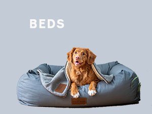 Dog beds & furniture