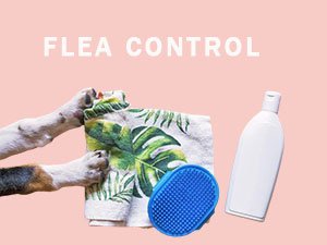 Dog flea & tick control